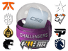 Shanghai 2024 Challengers Sticker Capsule image