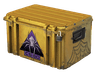 Shattered Web Case image
