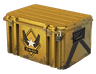 Winter Offensive Weapon Case image