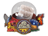Community Capsule 2018 image