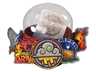 Community Capsule 2018 image