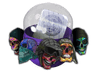 Sugarface Capsule image