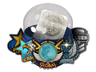 Skill Groups Capsule image