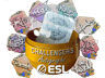 Rio 2022 Challengers Autograph Capsule image