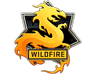 The Wildfire Collection image
