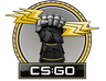 The Glove Collection image